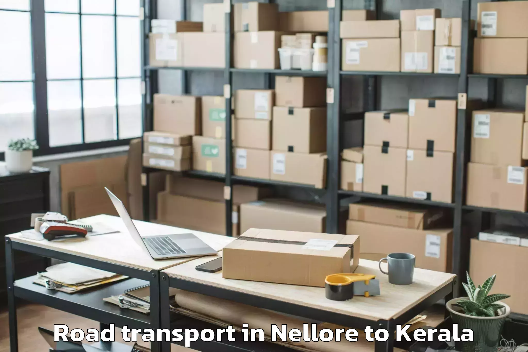 Book Nellore to Selex Mall Thrissur Road Transport